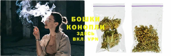 МДПВ Осташков