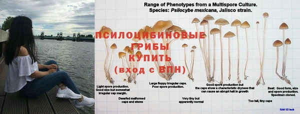 спайс Няндома