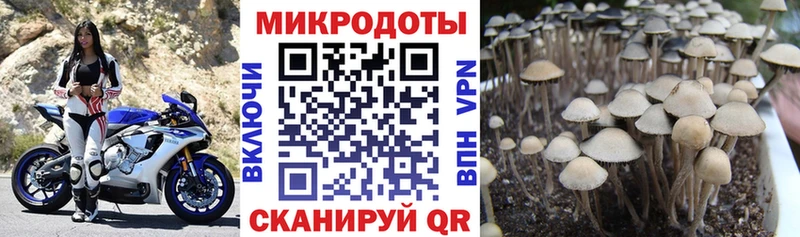 Галлюциногенные грибы мухоморы Кирсанов