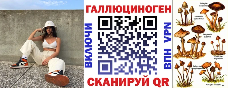 магазин наркотиков Кирсанов Галлюциногенные грибы Psilocybine cubensis